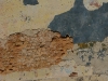 20101003 575